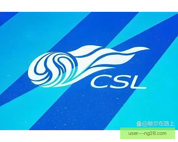 2025夏季转会风云：法兰克福引入中超外援引关注